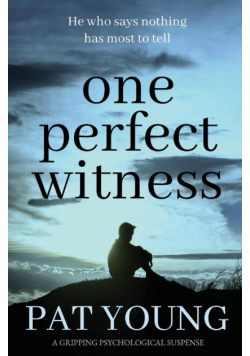 One Perfect Witness