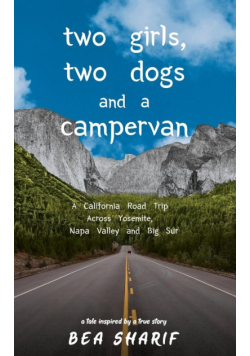 Two Girls, Two Dogs and a Campervan