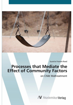 Processes that Mediate the Effect of Community Factors