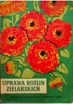 Uprawa roślin zielarskich