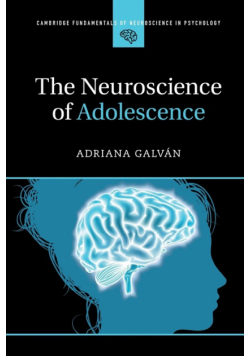 The Neuroscience of Adolescence