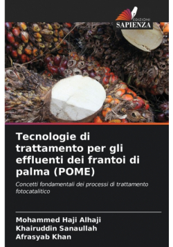 Tecnologie di trattamento per gli effluenti dei frantoi di palma (POME)