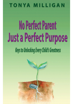 No Perfect Parent,  Just a Perfect Purpose