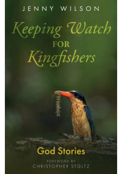 Keeping Watch for Kingfishers