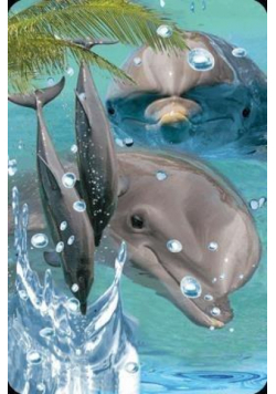 Mini kartka 3D Delfin