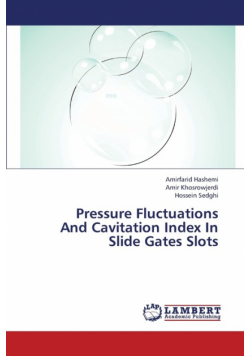 Pressure Fluctuations and Cavitation Index in Slide Gates Slots