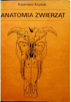 Anatomia zwierząt
