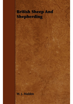British Sheep And Shepherding
