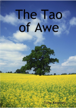The Tao of Awe