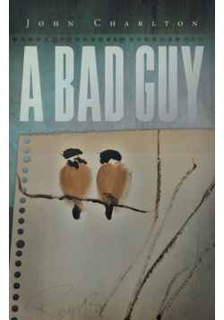 A Bad Guy
