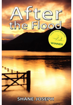 After the Flood