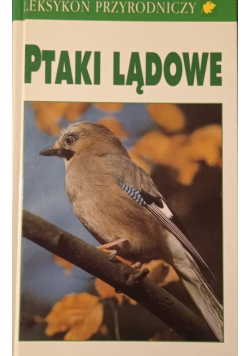 Ptaki lądowe