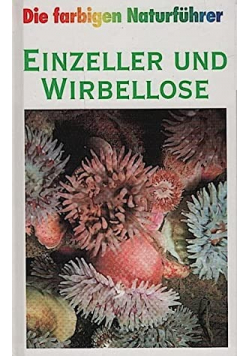 Einzeller und Wirbellose