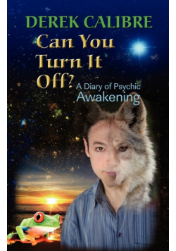 CAN YOU TURN IT OFF? A Diary of Psychic Awakening