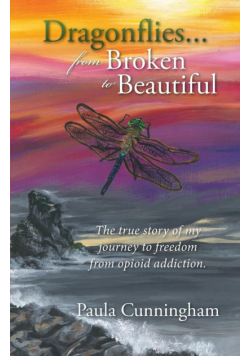 Dragonflies...From Broken to Beautiful