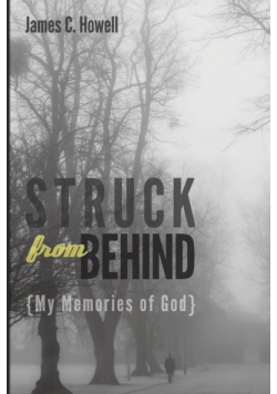 Struck from Behind
