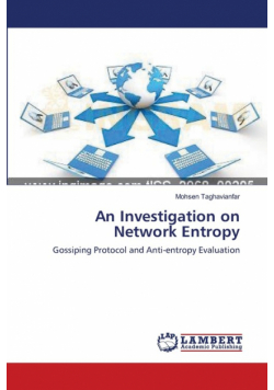An Investigation on Network Entropy
