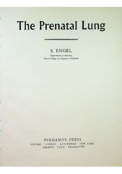 The prenatal lung