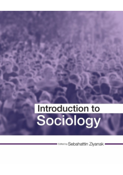 Introduction to Sociology