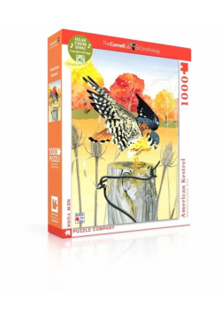 Puzzle 1000 Amerykańska Pustułka