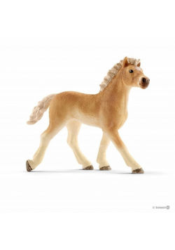 Źrebię rasy Haflinger