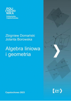Algebra liowa i geometria