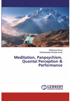 Meditation, Panpsychism, Quantal Perception & Performance