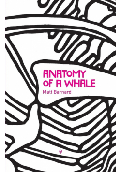 Anatomy of a Whale