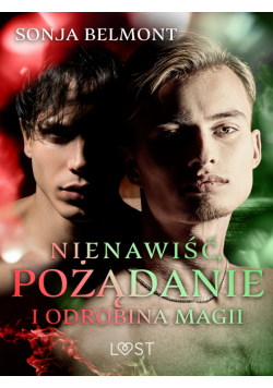 Nienawiść, pożądanie i odrobina magii: 3 opowiadania erotyczne inspirowane dynamiką Harry Potter/Draco Malfoy