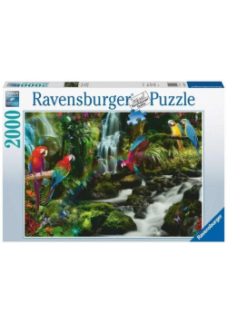 Puzzle 2000 Papugi w dżungli