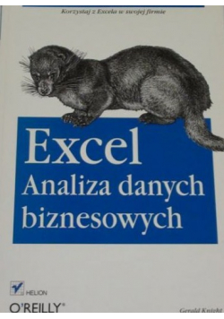 Excel Analiza danych biznesowych