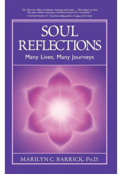 Soul Reflections