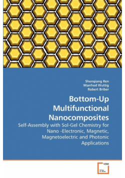 Bottom-Up Multifunctional Nanocomposites