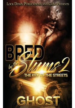 Bred By The Slums 2