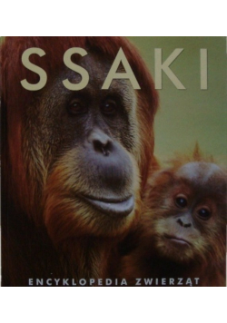 Ssaki encyklopedia zwierząt