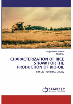 Characterization Of Rice Straw For The Production Of Bio-Oil