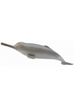 Delfin z rzeki Ganges