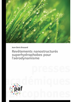 Revêtements nanostructurés superhydrophobes pour l'aérodynamisme