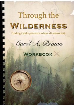 Through The wilderness WORKBOOK