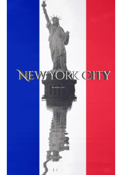 Statue of libertty  France  flag New York City creative blank journal