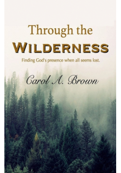 Through The Wilderness