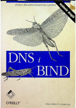 Dns I Bind