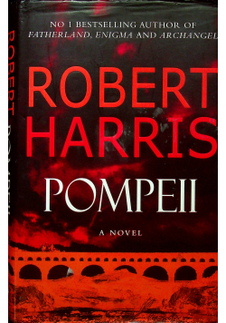 Pompeii a novel