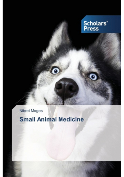 Small Animal Medicine