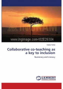 Collaborative co-teaching as a key to inclusion