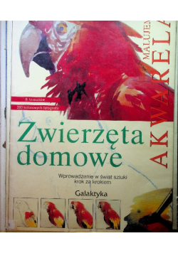 Zwierzęta domowe malujemy akwarelą