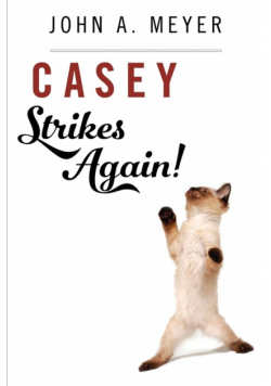 Casey Strikes Again!