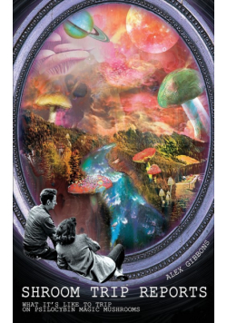 Shroom Trip Reports - What it's like to trip on Psilocybin Magic Mushrooms