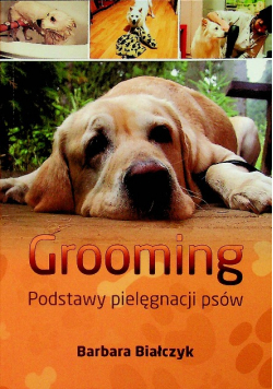 Grooming podstawy pielęgnacji psów
