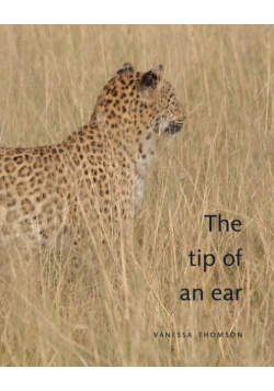 The Tip of an Ear
